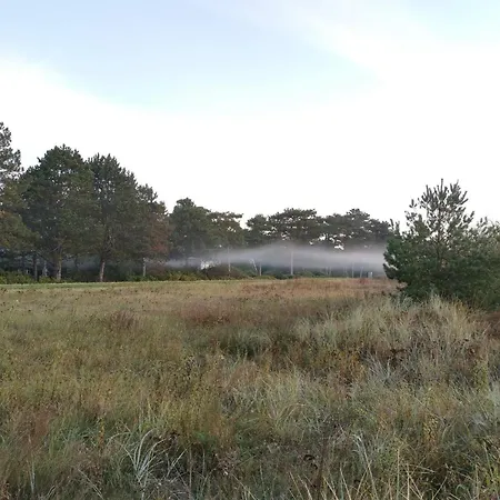 Feriehus 10 Person In Idestrup-by Traum